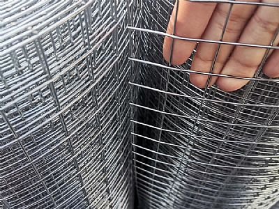 ǽ�������